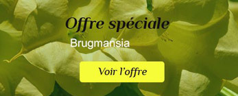 Offre spéciale Offre spéciale